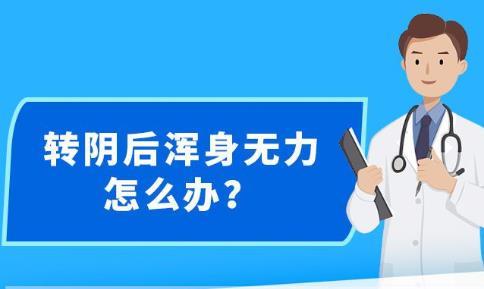 新澳精准资料免费提供网站,警惕网络陷阱，关于新澳精准资料免费提供网站的真相与风险