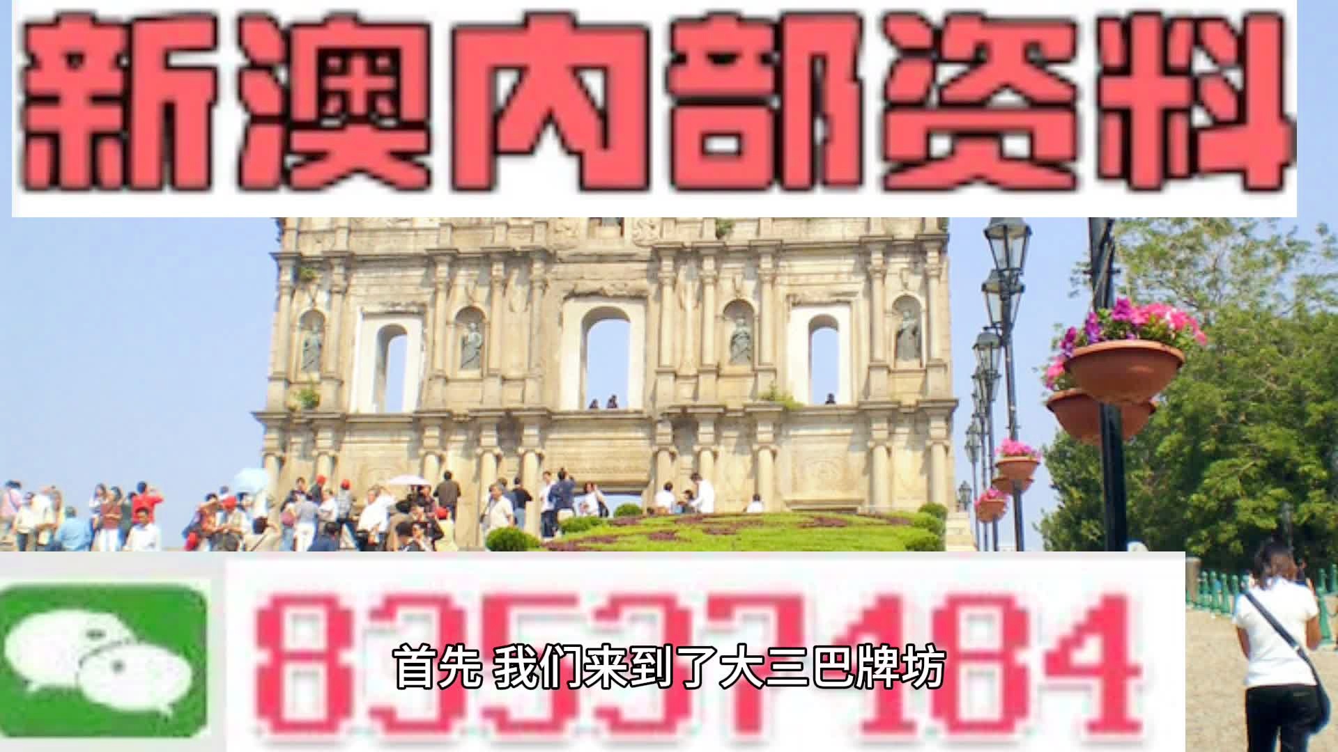 新澳2024年精准资料33期,新澳2024年精准资料33期深度解析