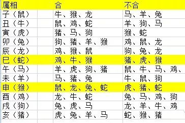 2024年12生肖49码图,揭秘2024年十二生肖与49码图的神秘关联