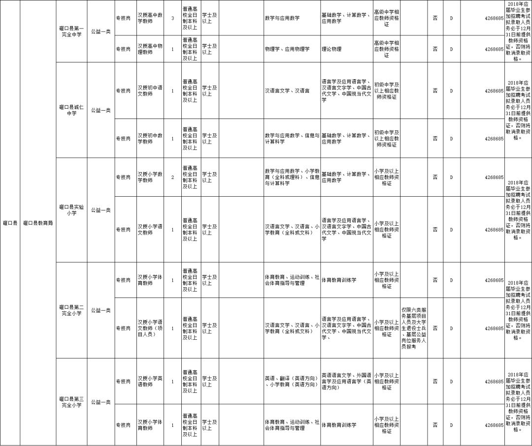 二四六期期准资料公开,二四六期期准资料公开，透明化管理的力量与价值