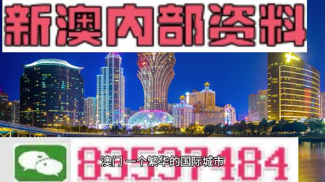 2024年新澳门王中王免费,探索新澳门王中王免费体验的独特魅力与未来展望（2024年）