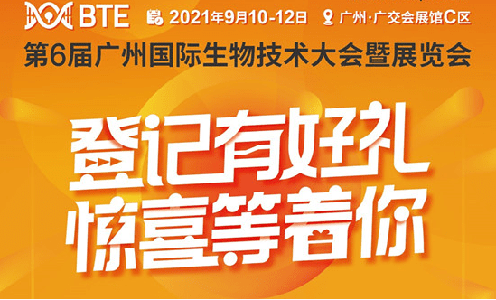 管家婆2024一句话中特,管家婆2024一句话中特，洞悉商业智慧，驾驭未来先机