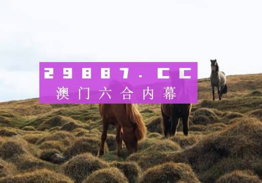 新澳门开奖结果2024开奖记录,澳门新开奖结果及未来开奖展望，探索2024年的开奖记录